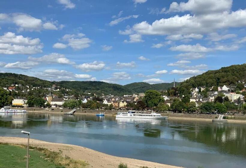 스탠다드 싱글 룸, Rheinvilla Arte