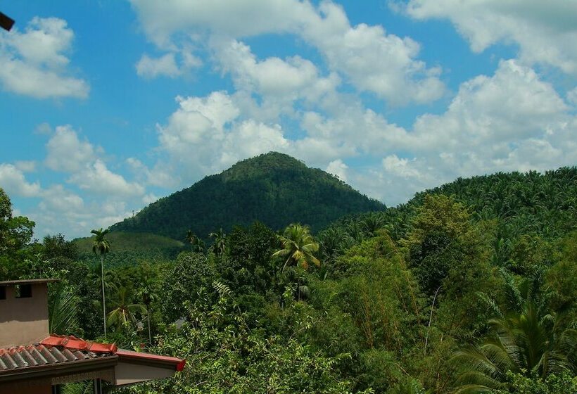 Трехместный Номер Deluxe, Senaro Holiday Resort