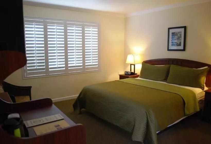 اتاق استاندارد با تخت بزرگ, Bella Capri Inn And Suites