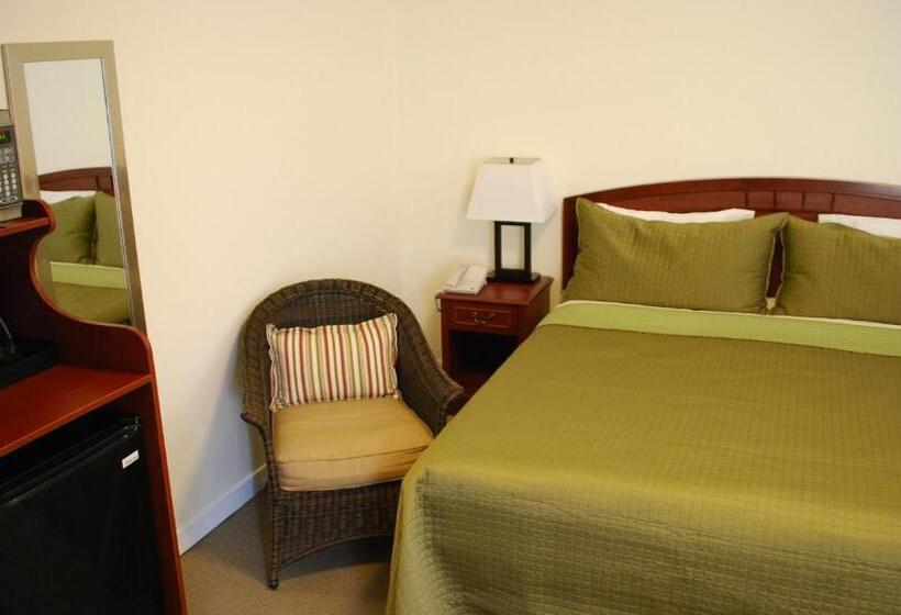 带大床的标准间, Bella Capri Inn And Suites