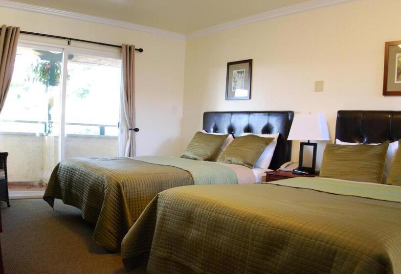 Mini Suite, Bella Capri Inn And Suites