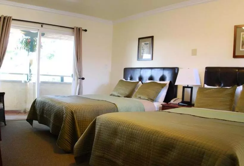Mini Suite, Bella Capri Inn And Suites