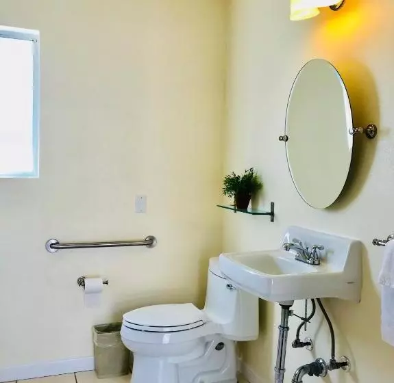 اتاق استاندارد با تخت بزرگ برای معلولان, Bella Capri Inn And Suites