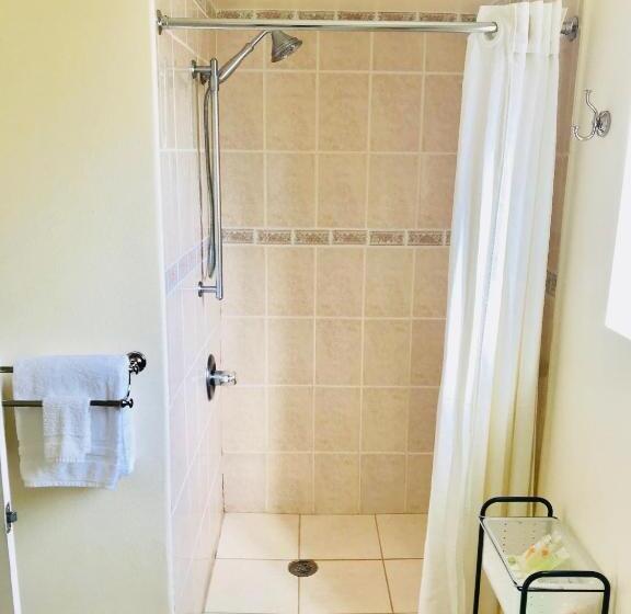 身障者適用キングサイズベッドルーム, Bella Capri Inn And Suites