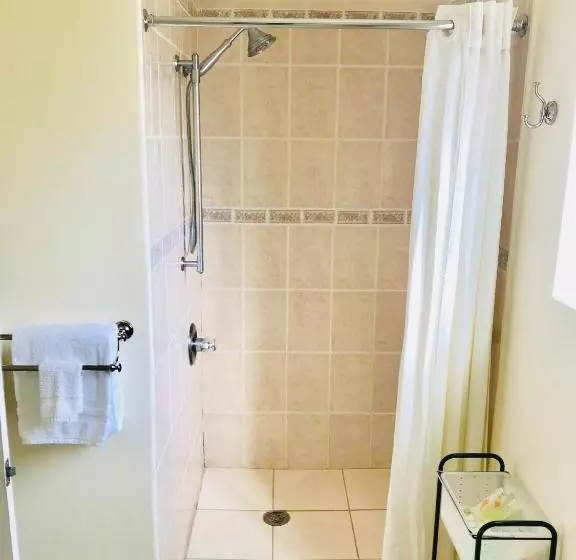اتاق استاندارد با تخت بزرگ برای معلولان, Bella Capri Inn And Suites