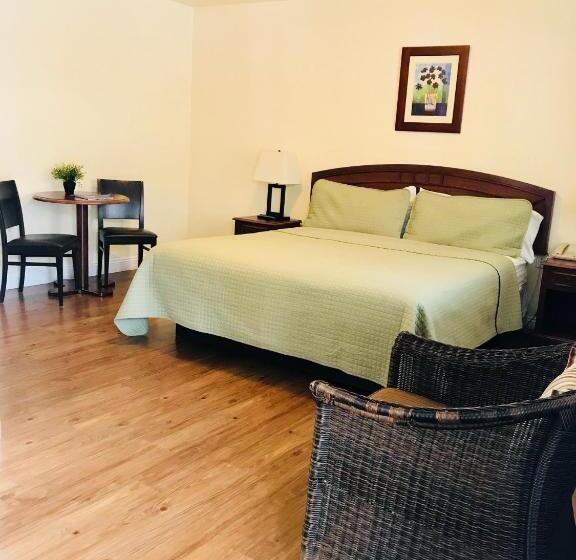 适合残疾人士使用的带超级大床的标准间, Bella Capri Inn And Suites
