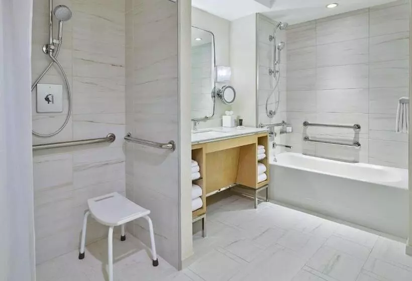 اتاق استاندارد با چشم‌انداز کوهستان, Clio, A Luxury Collection Hotel, Denver Cherry Creek