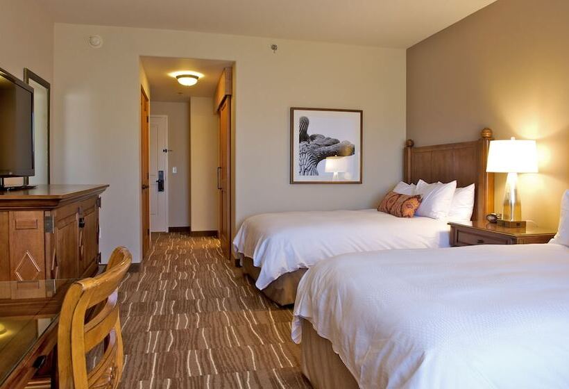 اتاق استاندارد با تخت دوبل, Jw Marriott Tucson Starr Pass Resort