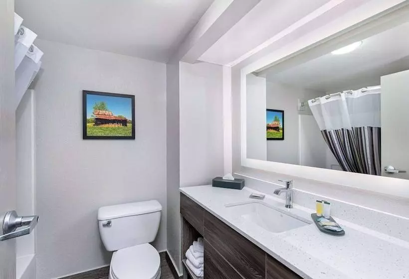 デラックスルーム, La Quinta Inn By Wyndham Pigeon Forgedollywood
