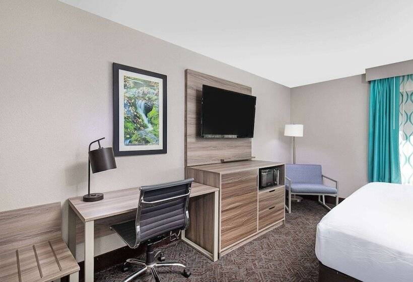 اتاق لوکس, La Quinta Inn By Wyndham Pigeon Forgedollywood