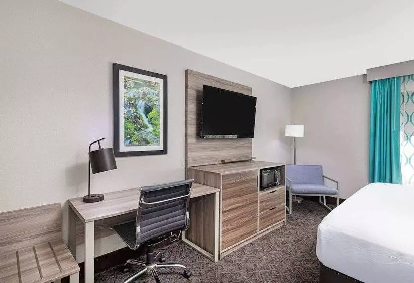 デラックスルーム, La Quinta Inn By Wyndham Pigeon Forgedollywood