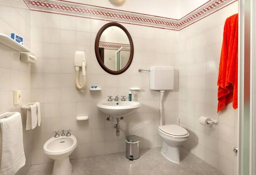 غرفة قياسية فردية, Milano Helvetia