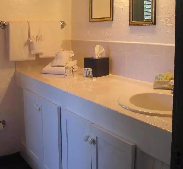 デラックスルーム, St. Francis Inn   Saint Augustine