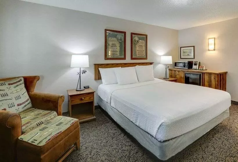 デラックスルーム, Stoney Creek Hotel Des Moines   Johnston