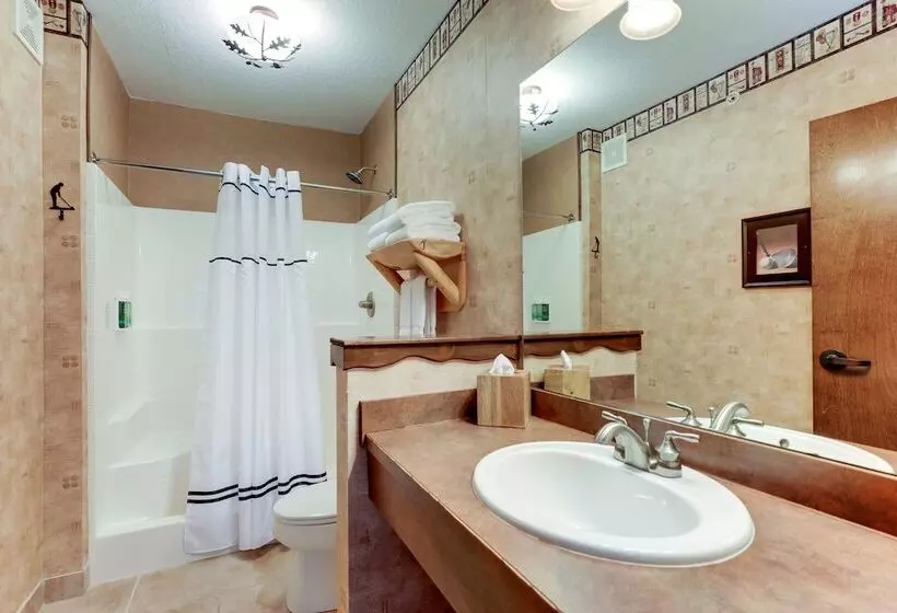 スーペリアースイート, Stoney Creek Hotel Des Moines   Johnston