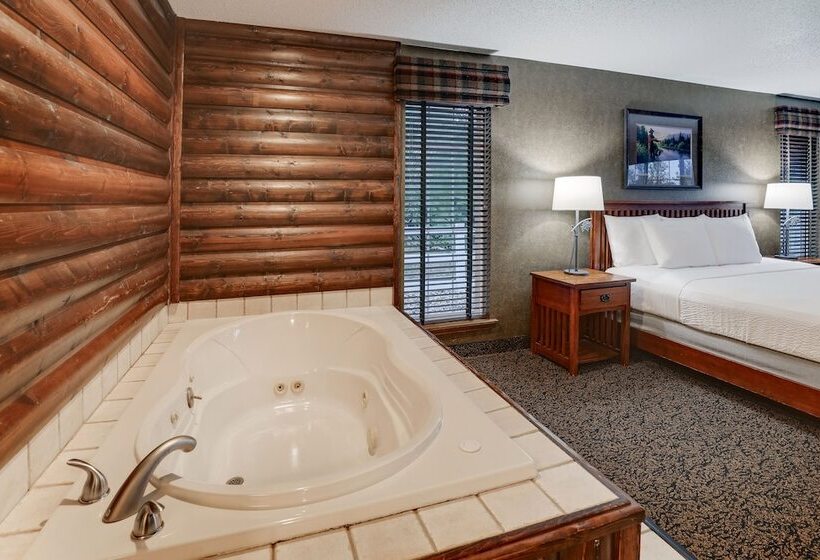 جناح سوبيريور, Stoney Creek Hotel Des Moines   Johnston