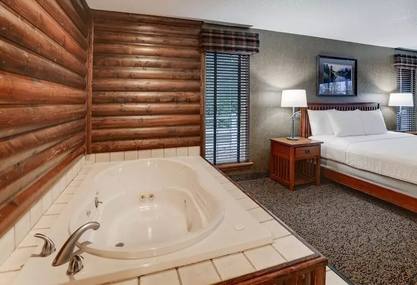 スーペリアースイート, Stoney Creek Hotel Des Moines   Johnston