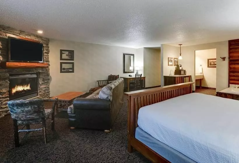 スーペリアースイート, Stoney Creek Hotel Des Moines   Johnston