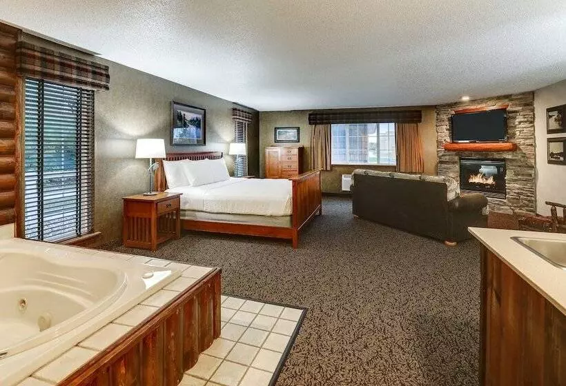 スーペリアースイート, Stoney Creek Hotel Des Moines   Johnston