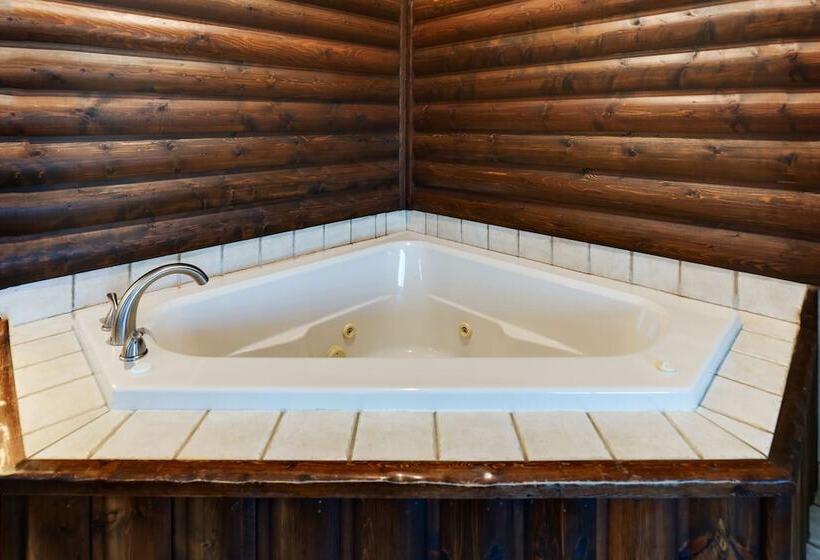 جناح مزود بجاكوزى, Stoney Creek Hotel Des Moines   Johnston