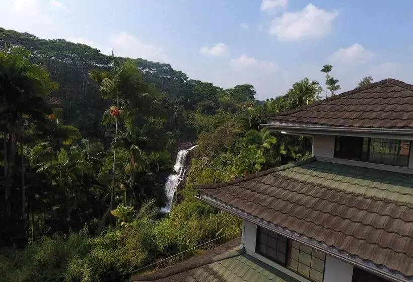 シングルデラックスルーム, The Inn At Kulaniapia Falls