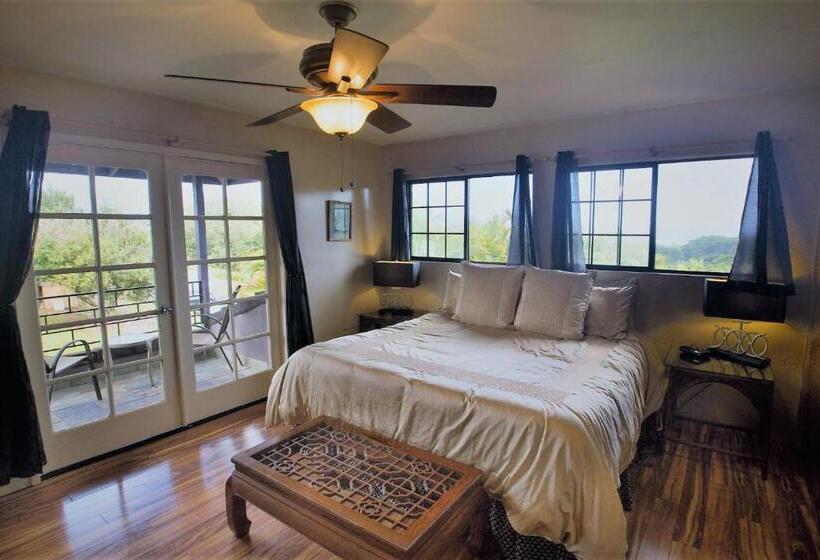 스탠다드 룸 킹사이즈 침대, The Inn At Kulaniapia Falls