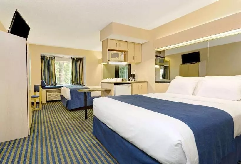 スタンダードスタジオ, Microtel Inn & Suites By Wyndham Florence/cincinnati Airpo