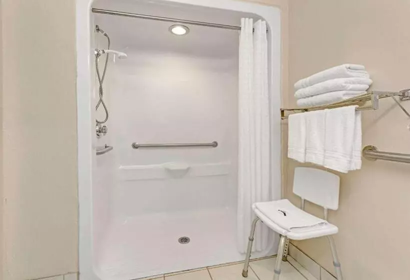 身障者適用スタンダードルーム, Microtel Inn & Suites By Wyndham Florence/cincinnati Airpo