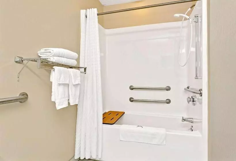 身障者適用スタンダードルーム, Microtel Inn & Suites By Wyndham Florence/cincinnati Airpo