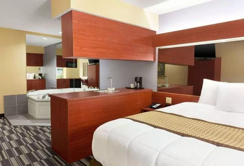 デラックススタジオ, Microtel Inn & Suites By Wyndham Thomasville/high Point/lexi