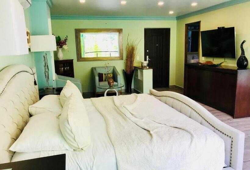 סוויטה עם בריכה, South Shore Villa Armonia Luxury Boutique