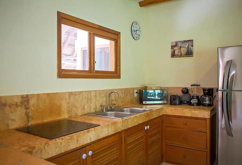 침실 1개 수피리어 아파트, Holbox Deluxe Apartments