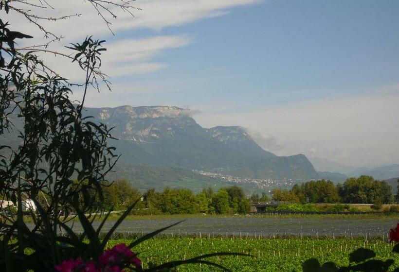 스탠다드 싱글 룸, Dependance Villnerhof