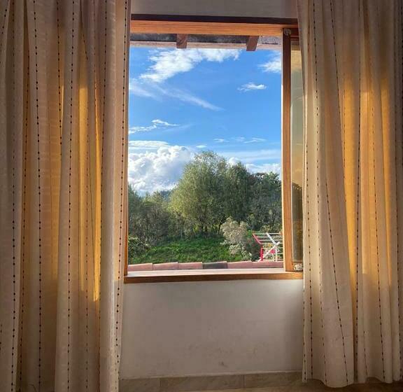 스탠다드 룸, Estaciones