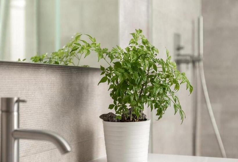 Четырехместный Номер Стандарт, Palazzo Novecento