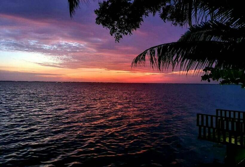 带阳台的豪华间, Leaf On Lagoon