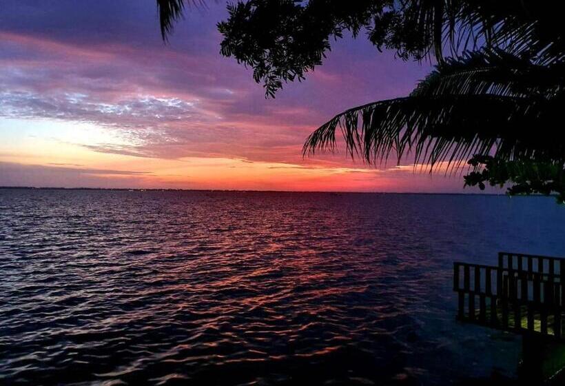 标准间, Leaf On Lagoon