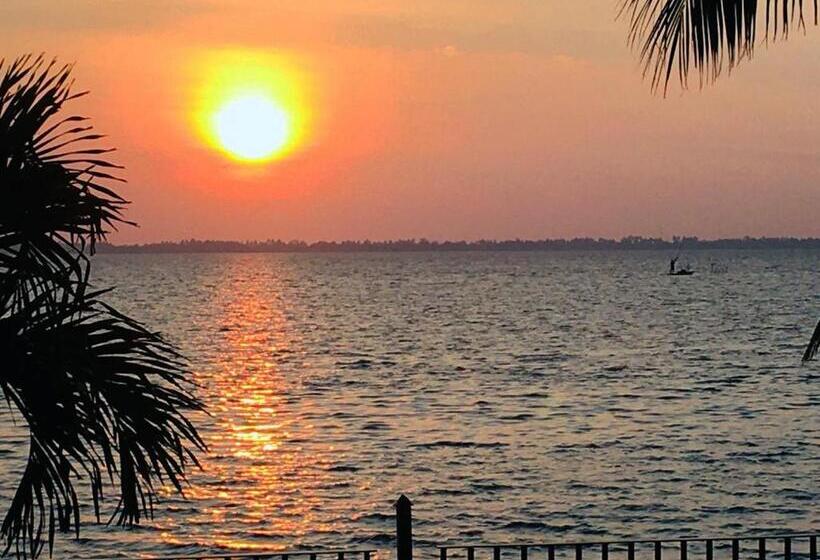 家庭间, Leaf On Lagoon