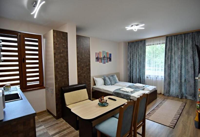 带露台的标准工作室, Madini Apartment