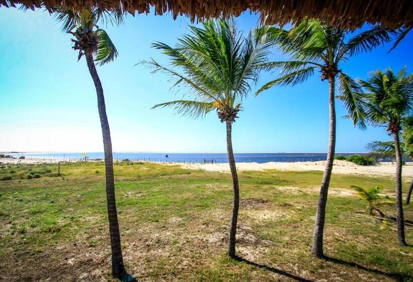 豪华洋房, Vila Vento