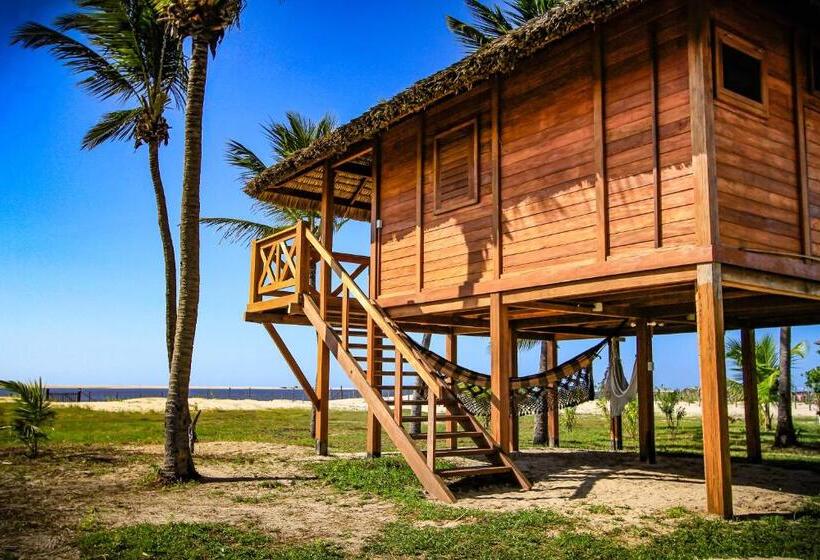 豪华洋房, Vila Vento