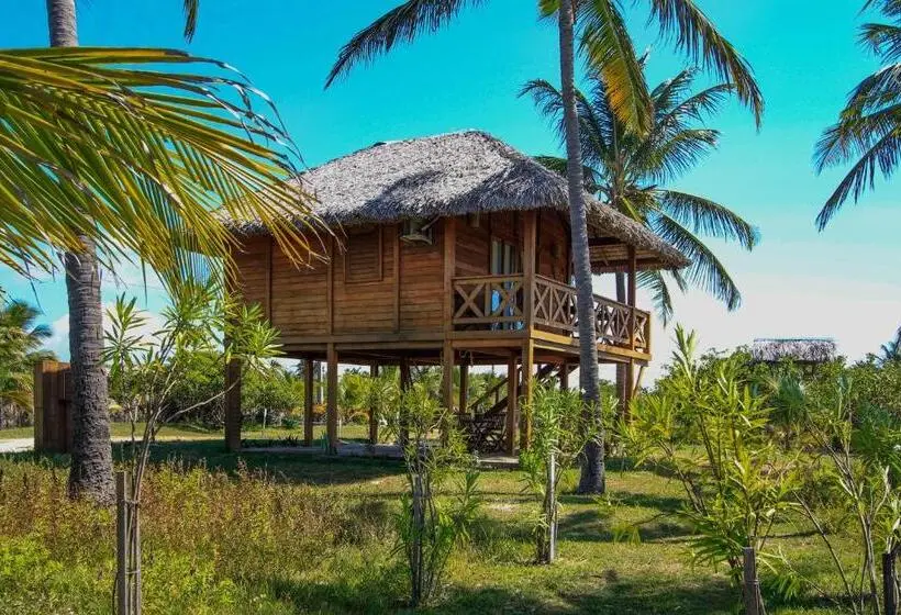 デラックスバンガロー, Vila Vento