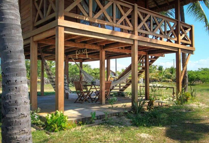 豪华洋房, Vila Vento