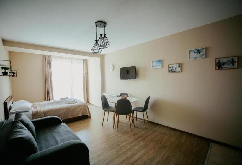 استودیوی استاندارد, Maisako's New Gudauri Apartment