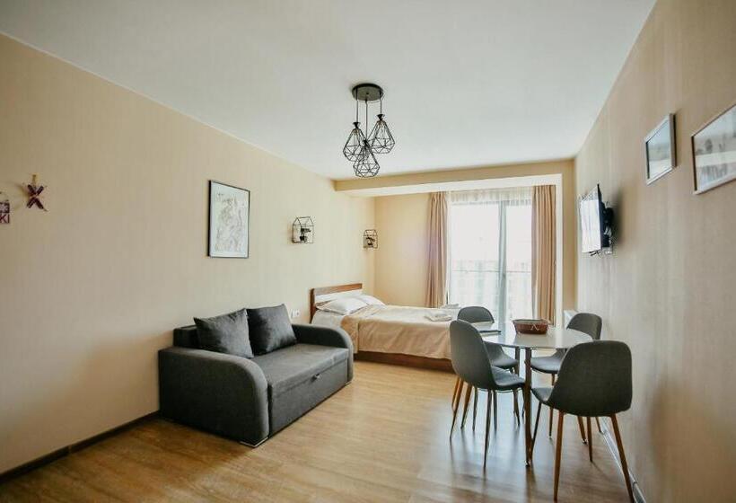 استودیوی استاندارد, Maisako's New Gudauri Apartment