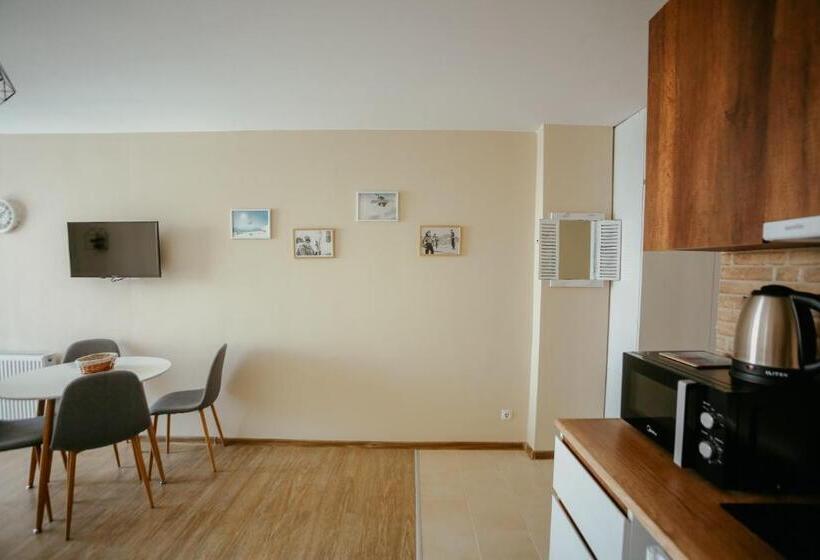 استودیوی استاندارد, Maisako's New Gudauri Apartment