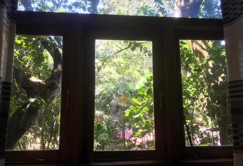 Cama em Quarto Compartilhado, Noname Hostel And Cafe