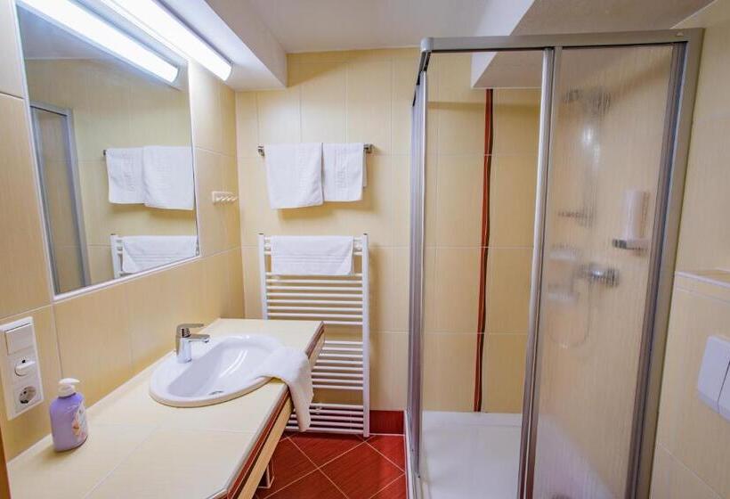 Standart Oda, Bergerhof