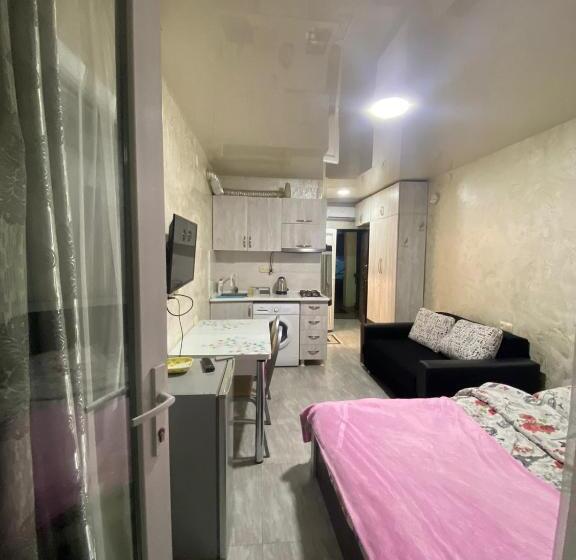 استودیو استاندارد با بالکن, уютная студия Maksim