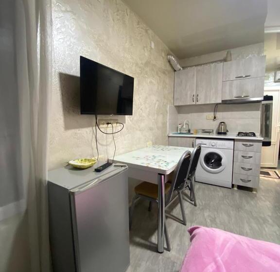 استودیو استاندارد با بالکن, уютная студия Maksim